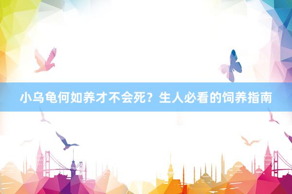 小乌龟何如养才不会死？生人必看的饲养指南