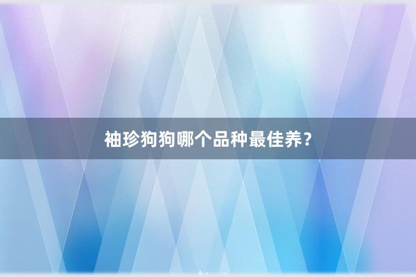 袖珍狗狗哪个品种最佳养?